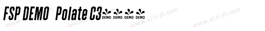 FSP DEMO   Polate C3字体转换